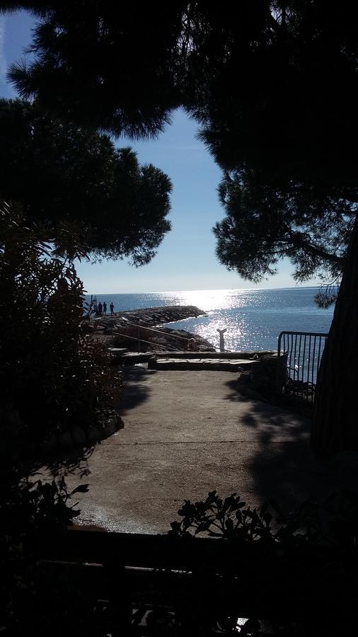 Villa Bruyere Antibes Exteriér fotografie